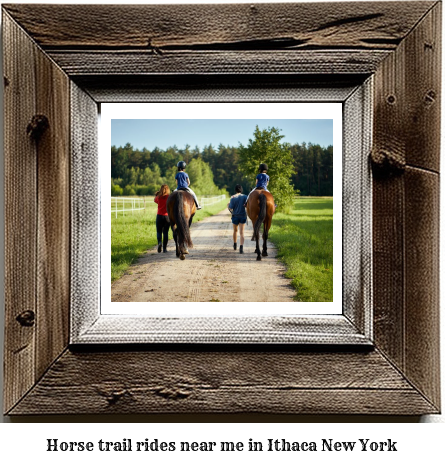 horse trail rides near me in Ithaca, New York